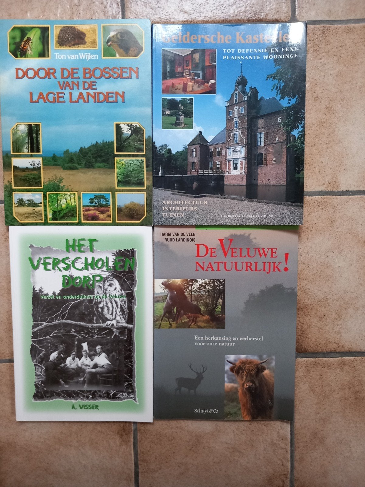 4 Gelderse boeken, Ophalen of Verzenden, Zo goed als nieuw