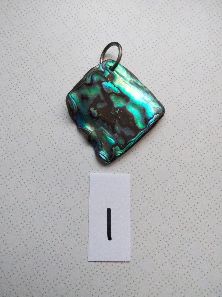 abalone hangers 8 stuks, Ophalen, Overige kleuren, Overige materialen