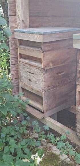 Red ceder bijenkast compleet inclusief bijenvolk, Dieren en Toebehoren, Insecten en Spinnen, Bijen