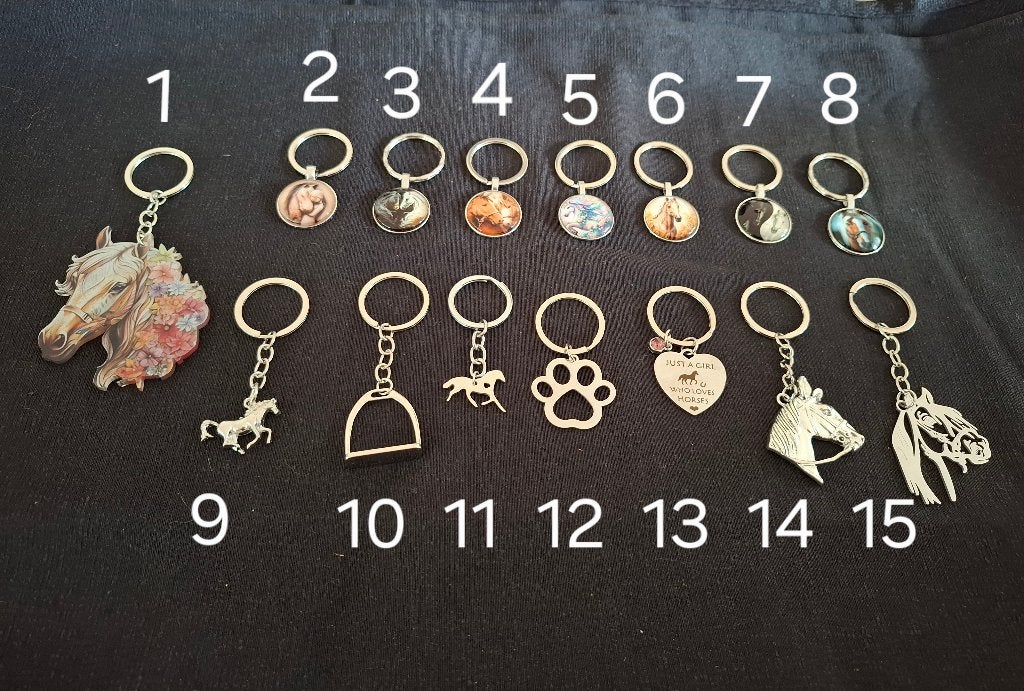Diverse paarden en andere sleutelhangers NIEUW 2.50 euro, Ophalen of Verzenden, Nieuw, Overige kleuren, Overige materialen