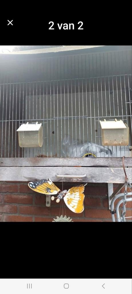 Kooi voor buiten, Ophalen