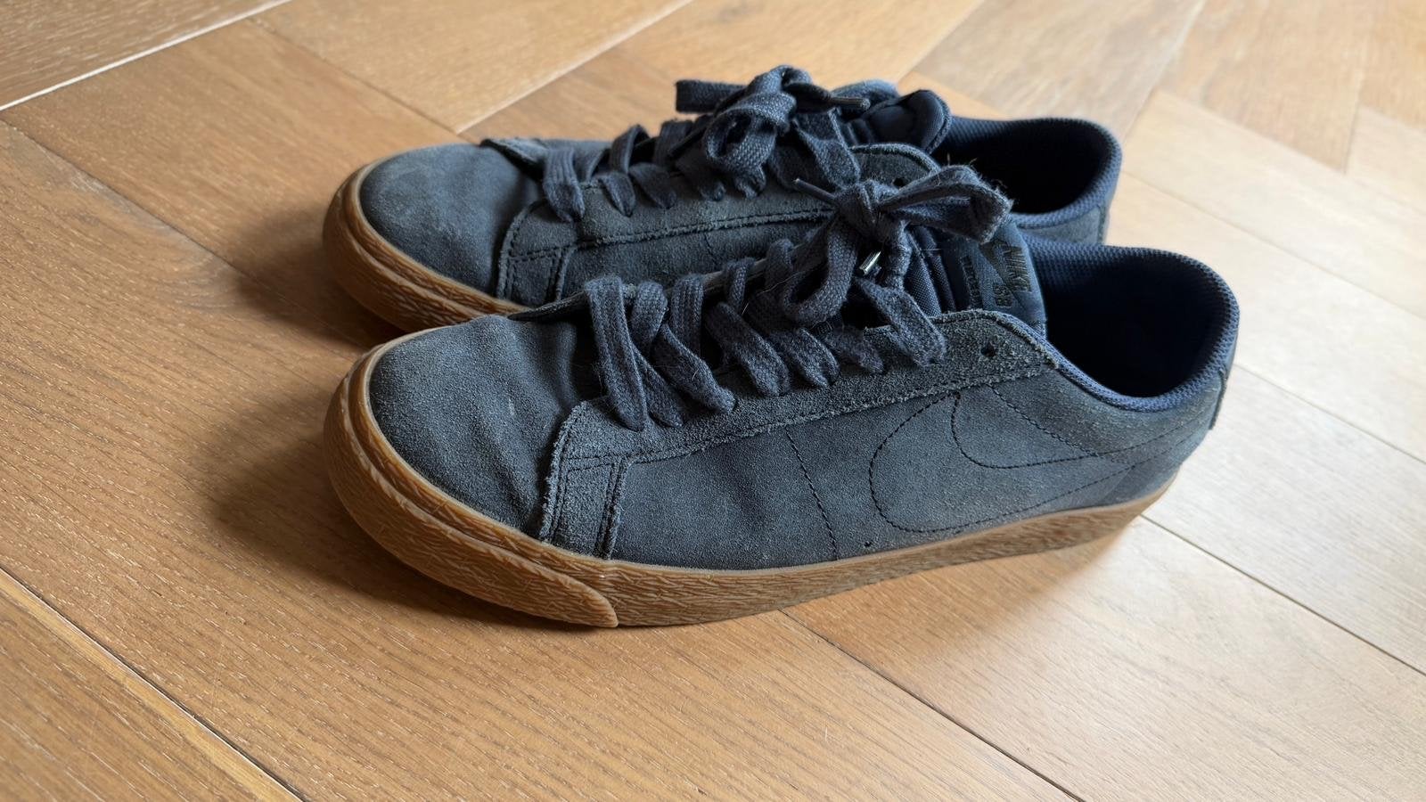 Nike SB sneakers - Maat 44 - Blauw, Ophalen, Gedragen, Blauw, Sneakers of Gympen