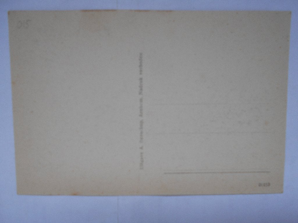 Arnhem De Haven voor 1920 met rondvaart boot en woonark, Ophalen of Verzenden, Voor 1920, Ongelopen, Gelderland
