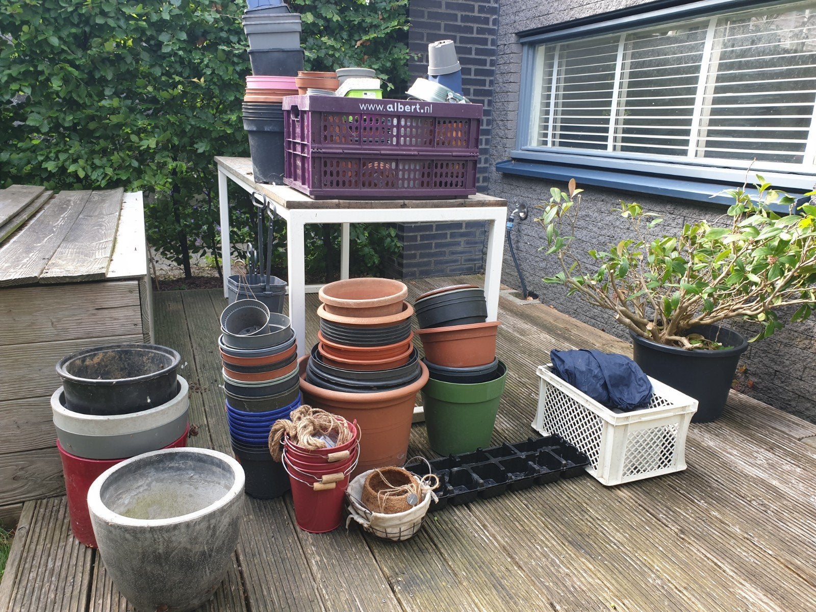Plantenpotten en manden gratis, Ophalen, Rond, Minder dan 30 cm