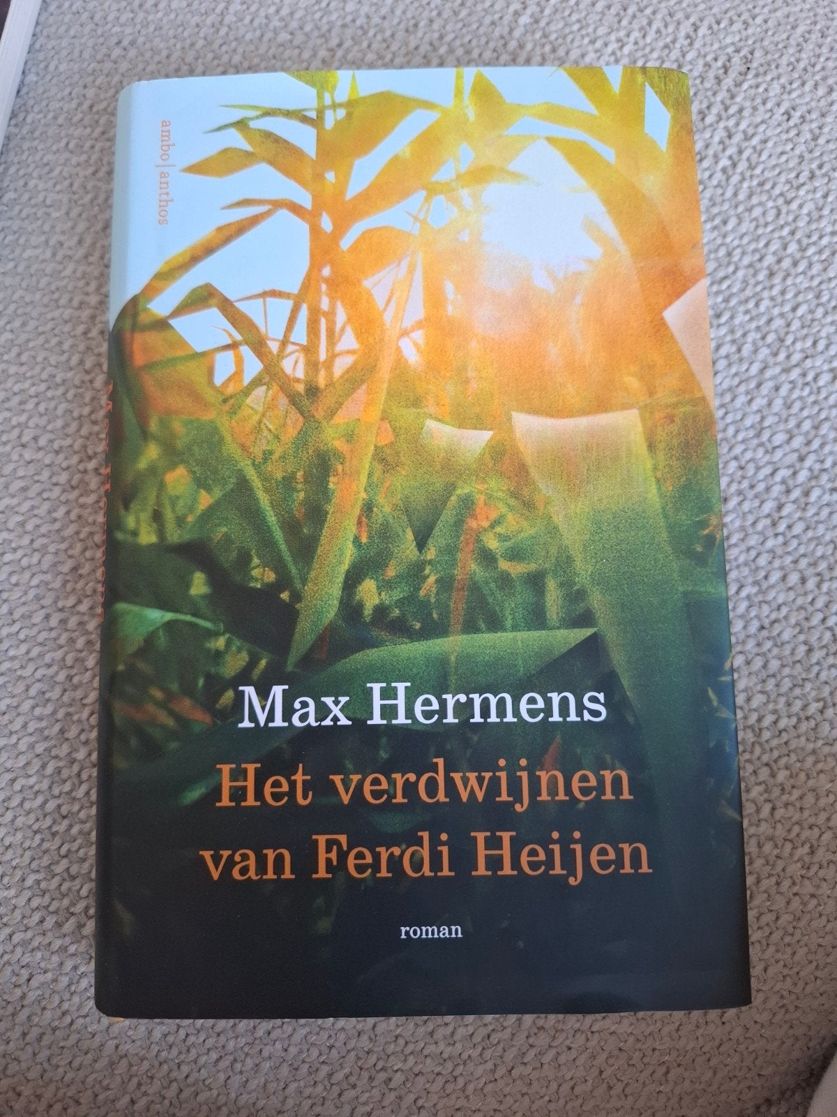Het verdwijnen van Ferdi Heijen - Max Hermens (roman), Ophalen of Verzenden, Zo goed als nieuw, Max Hermens, Nederland