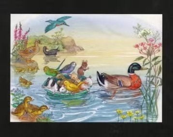 IJsvogel Eend Kuikens Parkieten Muis Meerkoet by Molly Brett, Ophalen of Verzenden, 1980 tot heden, Ongelopen, Kinderen