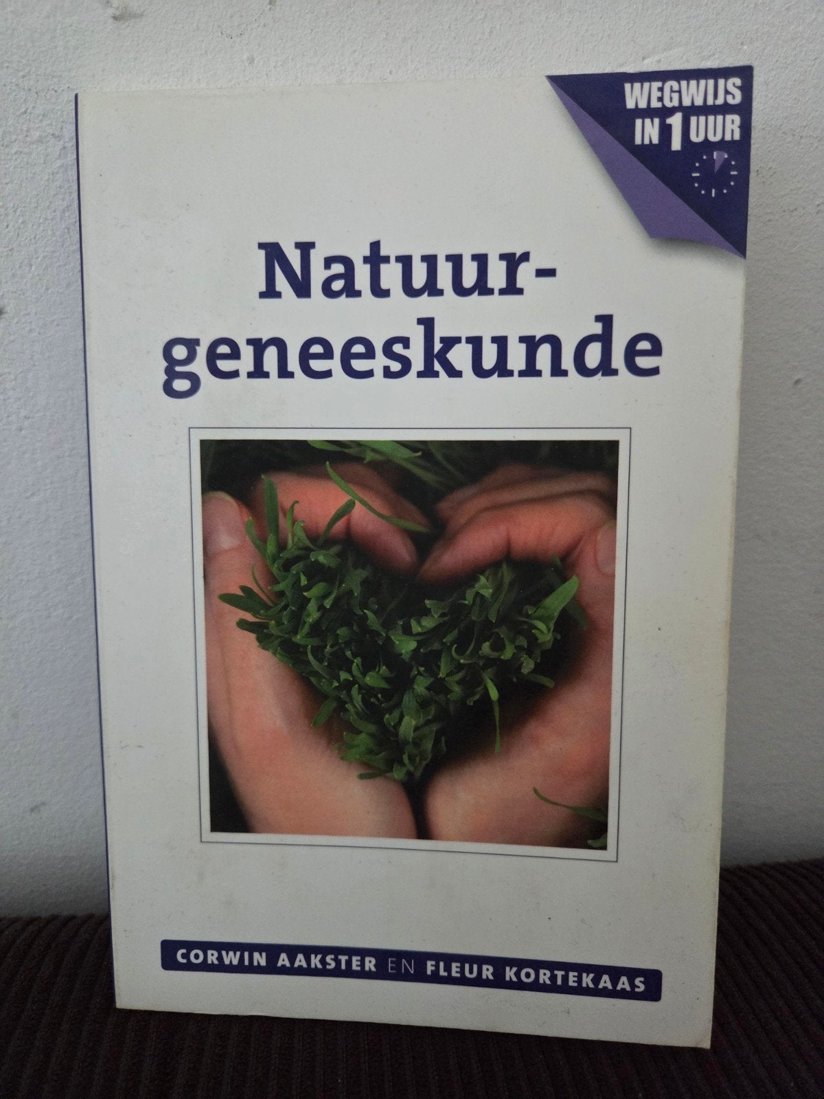 Natuurgeneeskunde - Wegwijs in 1 uur, Ophalen of Verzenden, Gelezen
