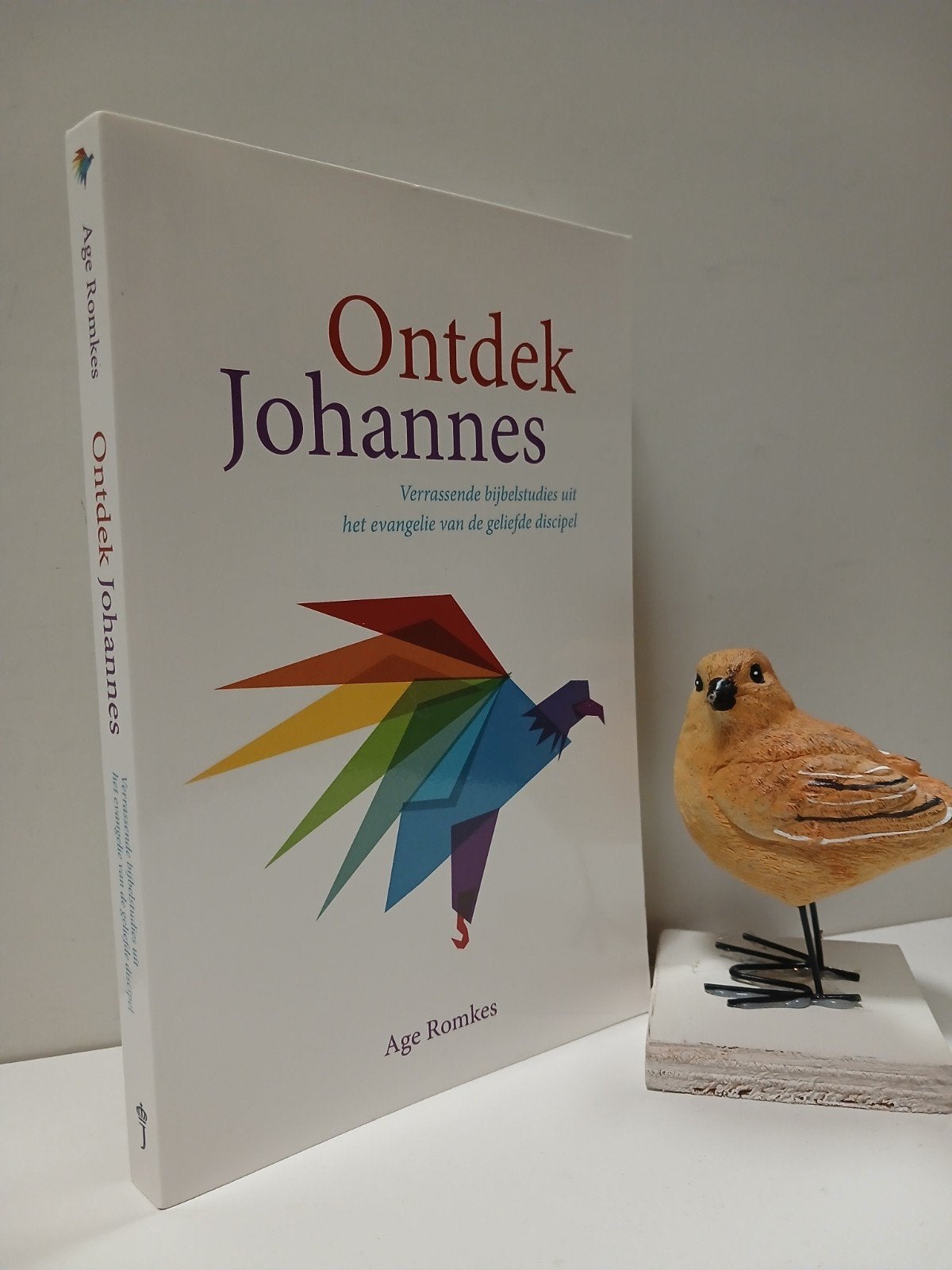 Romkes Age; Ontdek Johannes, Ophalen of Verzenden, Gelezen, Christendom | Protestants