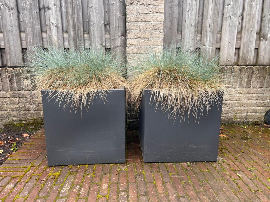 2x mooie verrijdbare bloembak, Tuin en Terras, Ophalen, Kunststof, Gebruikt, Vierkant