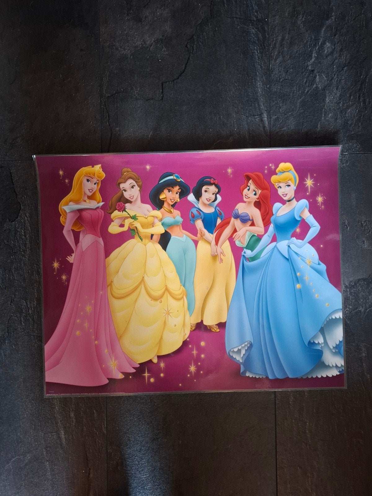 Disney Prinsessen Poster - Assepoester, Ariel, Sneeuwwitje, Ophalen of Verzenden, Overige figuren, Nieuw, Plaatje of Poster