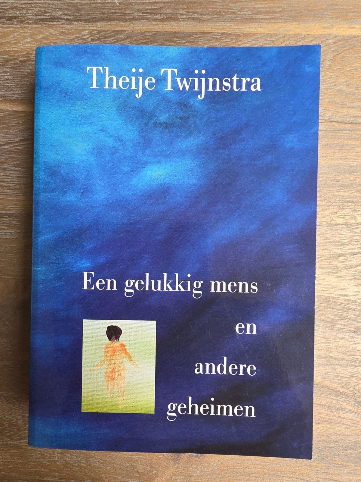 Theije Twijnstra - Een gelukkig mens en andere geheimen, Achtergrond en Informatie, Ophalen of Verzenden, Zo goed als nieuw, Theije Twijnstra
