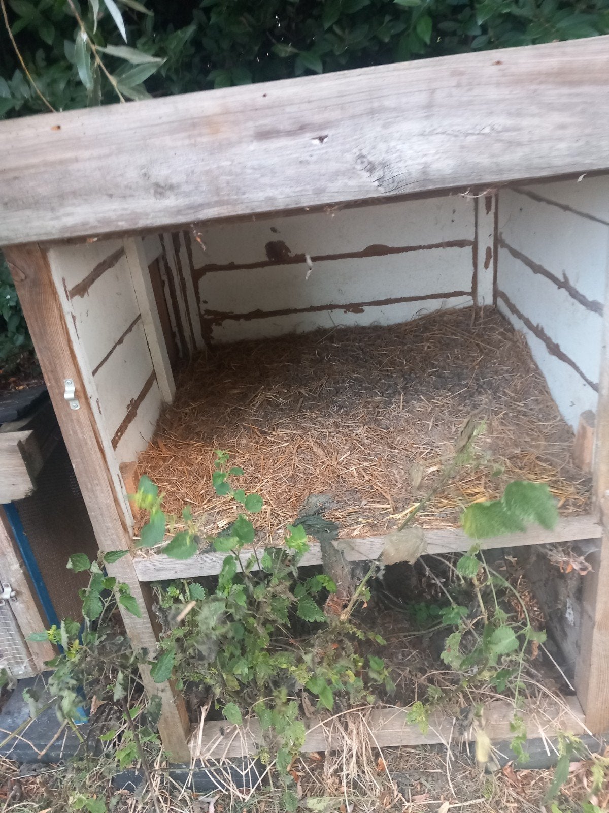 konijnenhok buiten cavia hok HOK konijn, Ophalen, 90 cm of meer, Konijn, Hok