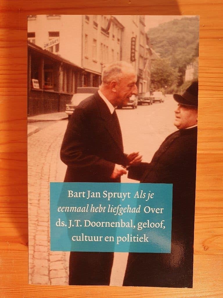 Bart Jan Spruyt - Als je eenmaal hebt liefgehad, Maatschappij en Samenleving, Ophalen of Verzenden, Zo goed als nieuw, Bart Jan Spruyt