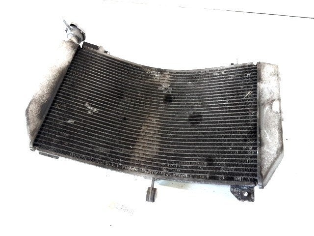 R1 2015 - 2019 Yamaha Radiator D1-54406
