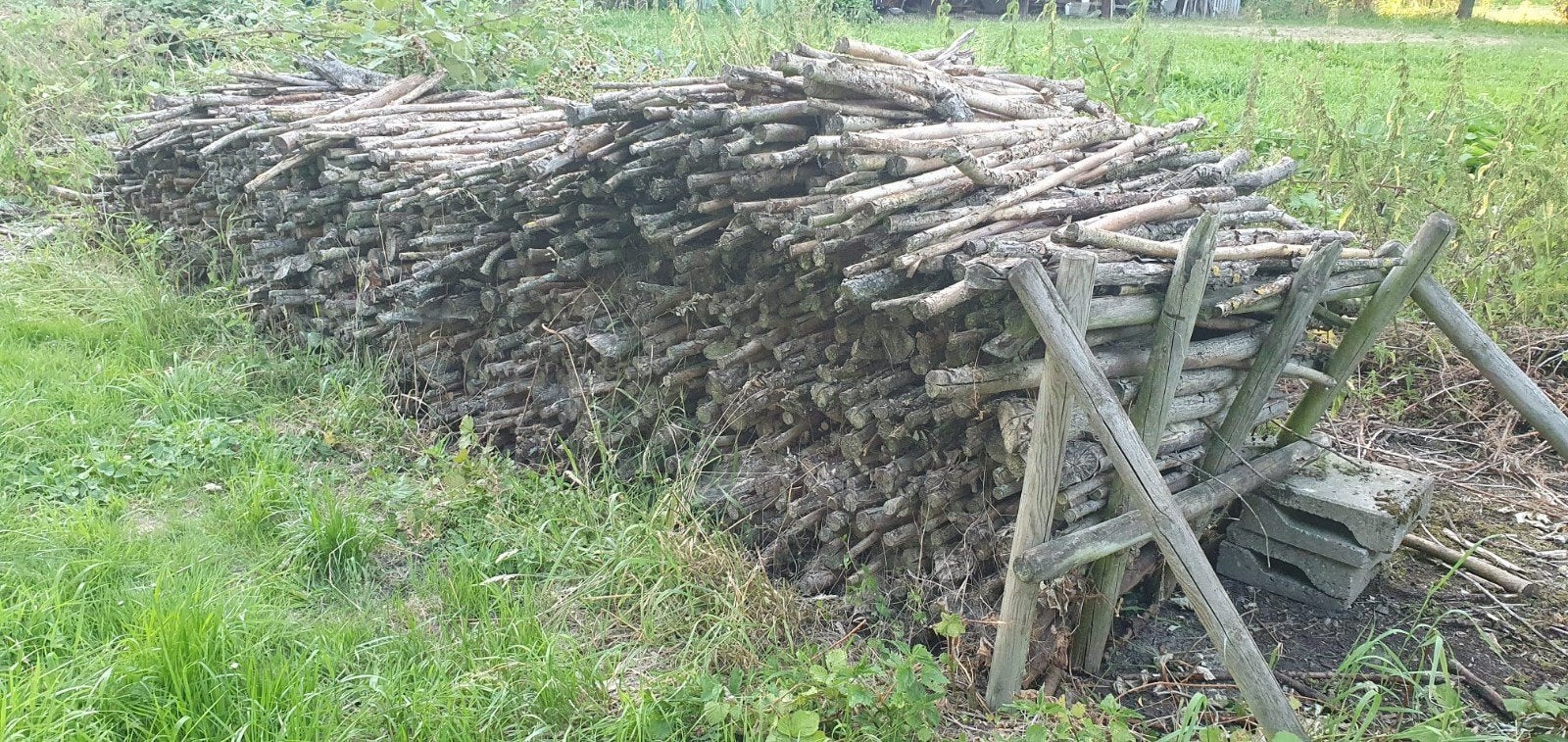 Wilgenhout, Tuin en Terras, Haardhout, Minder dan 3 m³, Ophalen, Overige houtsoorten, Takken