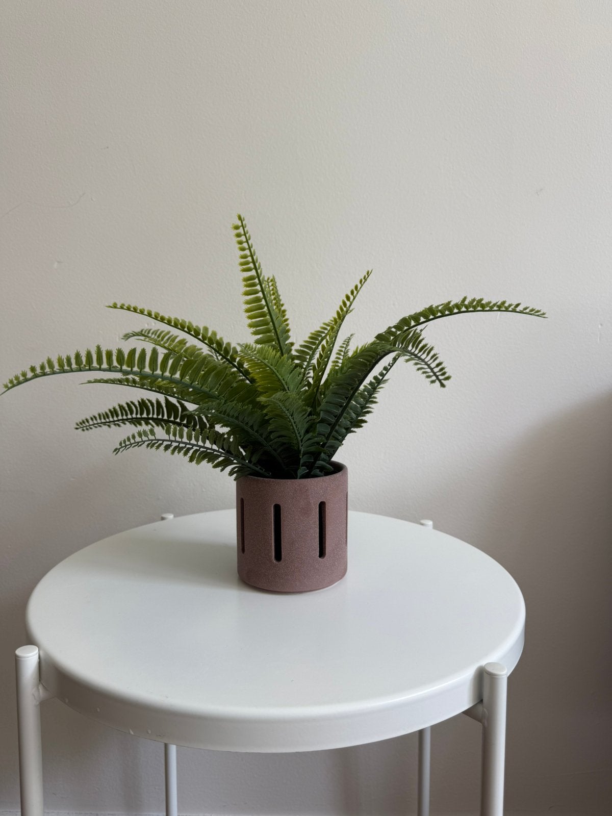 Plant + pot, Huis en Inrichting, Kamerplanten, Ophalen of Verzenden