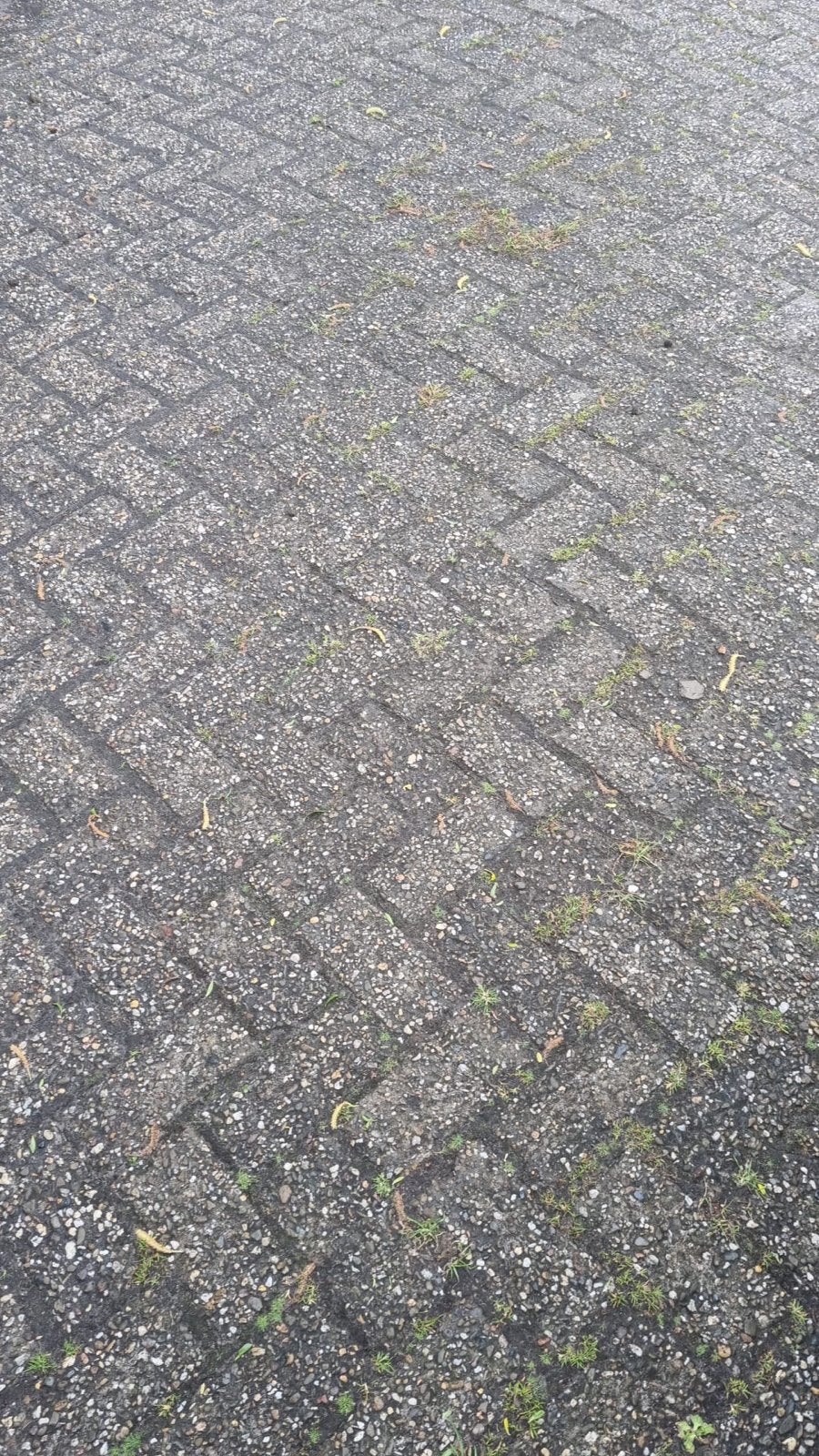 Gebruikte beton klinkers - diverse diktes (6, 7, 8 cm), Ophalen of Verzenden, Gebruikt, Beton, Klinkers