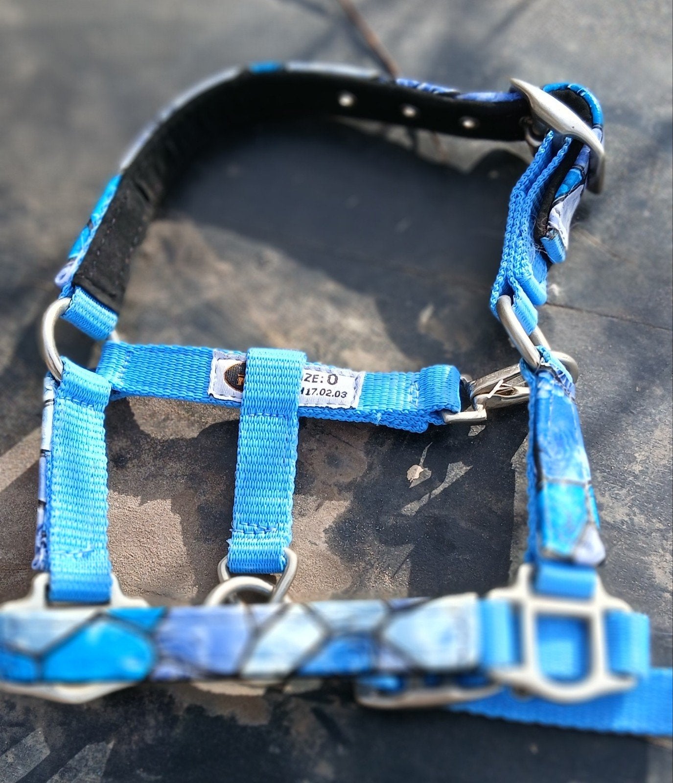 Inie mini halster maat 0 blue mozaïek, Recreatie, Nieuw, Blauw, Halster
