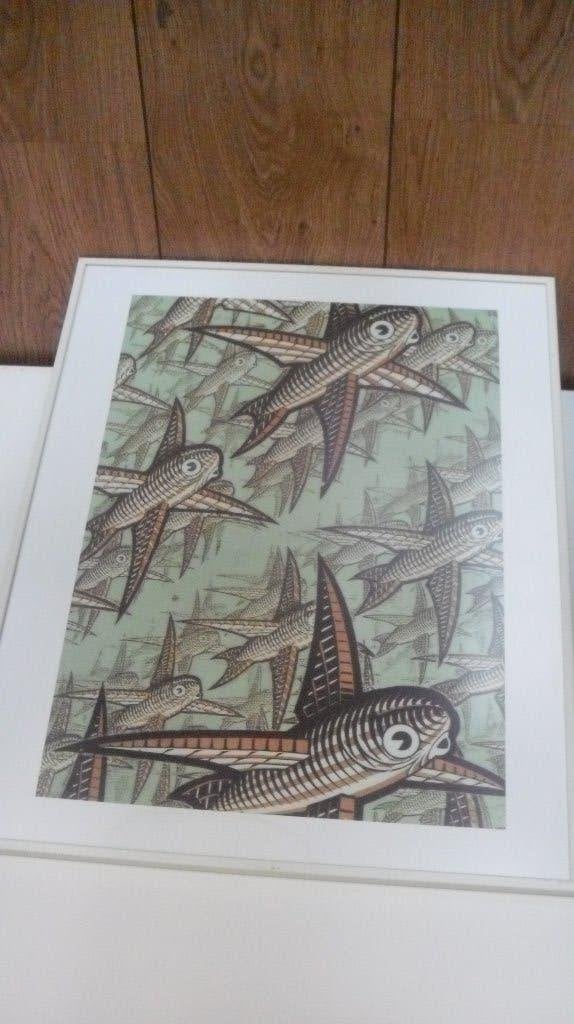 M.C Escher ingelijste litho -Vissen-1955, Ophalen, 50 – 75, Minder dan 50 cm, Zo goed als nieuw