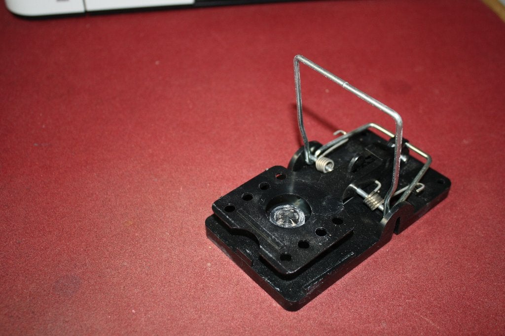Rattenval / Rat trap, Dieren en Toebehoren, Januari, Geslacht onbekend, Rat