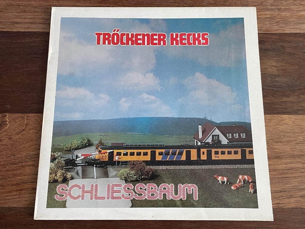 Vinyl LP Trockener Kecks Schliessbaum Debuut 1981 ZELDZAAM, Cd's en Dvd's, LP, Gebruikt, Ophalen of Verzenden, Pop