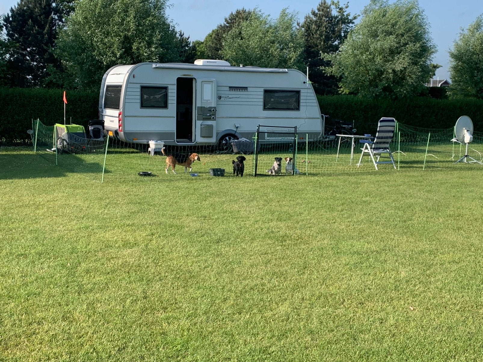 50m schapennet van 90cm hoog, Ophalen, Zo goed als nieuw