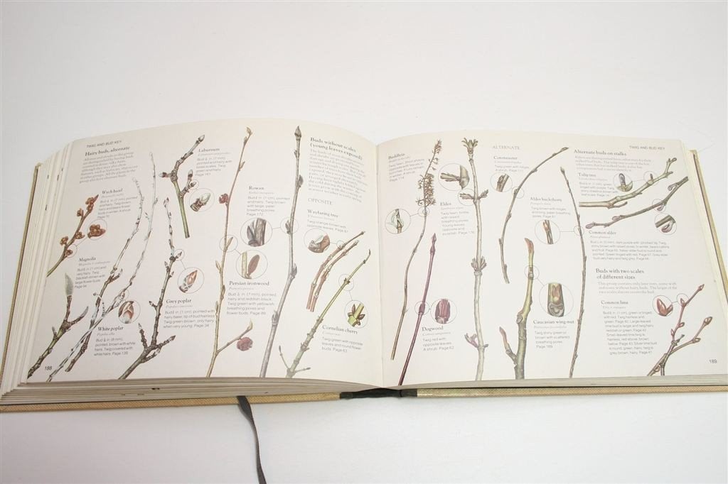 Reader\'s Digest Veldgids — Bomen & Struiken van Brittannië, Ophalen of Verzenden, Gelezen, Bloemen, Planten en Bomen