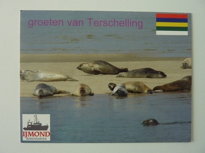 TERSCHELLING rondvaart IJmond zeehonden niet meer in actie, Ophalen, 1960 tot 1980, Ongelopen, Waddeneilanden