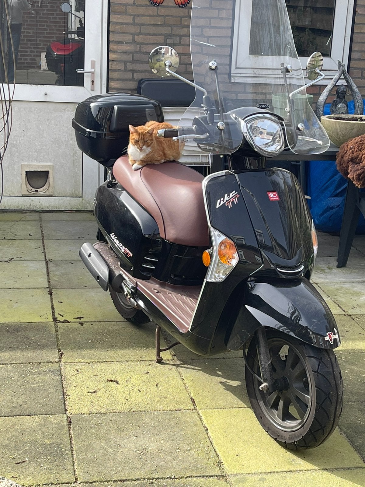 Kymco like 50 TT snorscooter. Uit 2015, Gebruikt, Kymco, Ophalen of Verzenden, Benzine