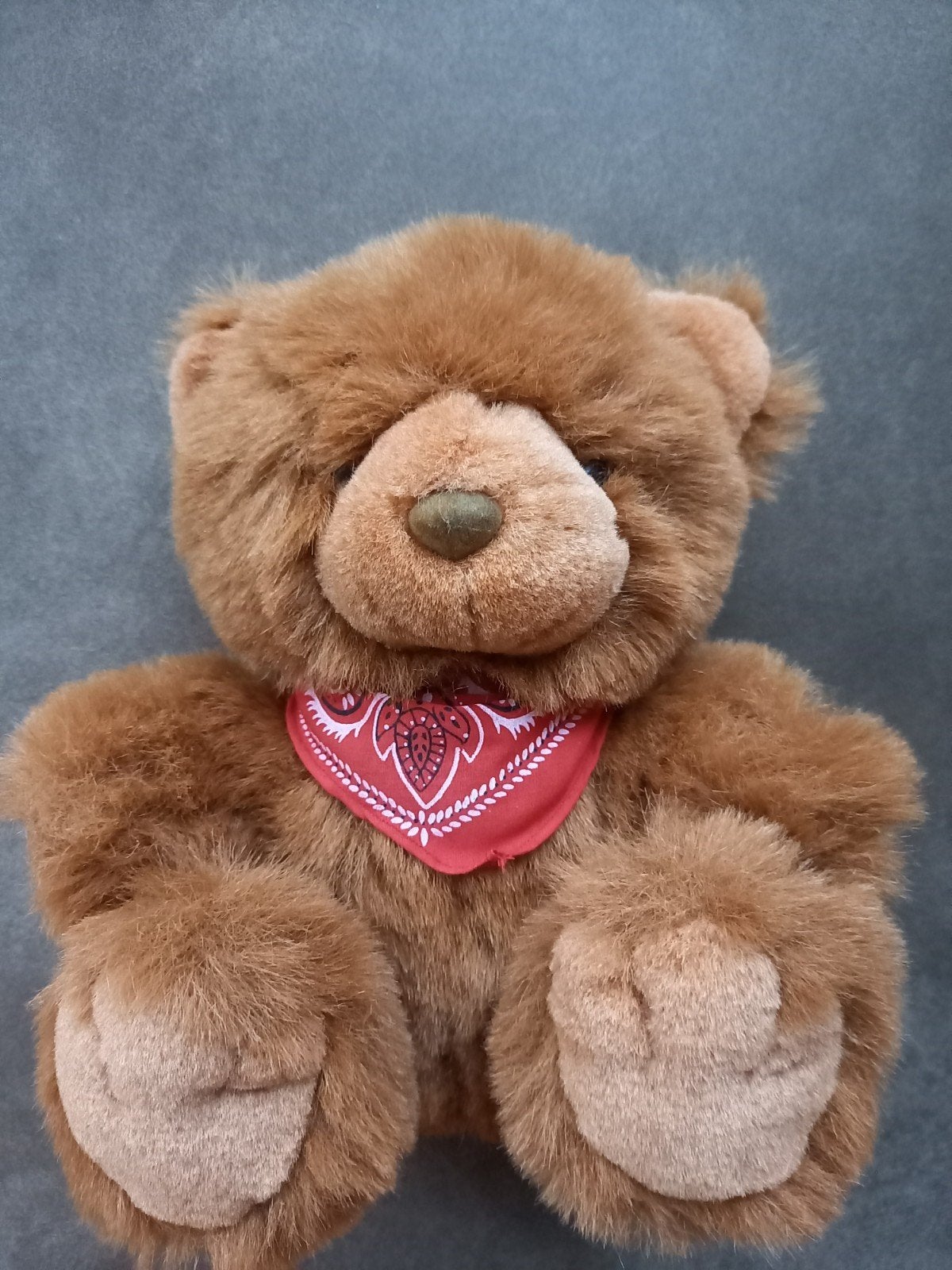 Leuke beer / teddybeer met rode zakdoek, Ophalen of Verzenden, Gebruikt