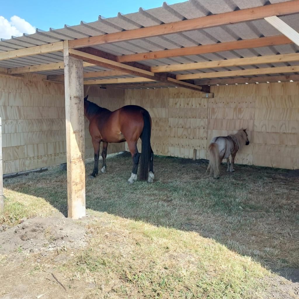 Schuilstal, paardenstal, schuilhok in voorraad, Stalling, 2 of 3 paarden of pony's