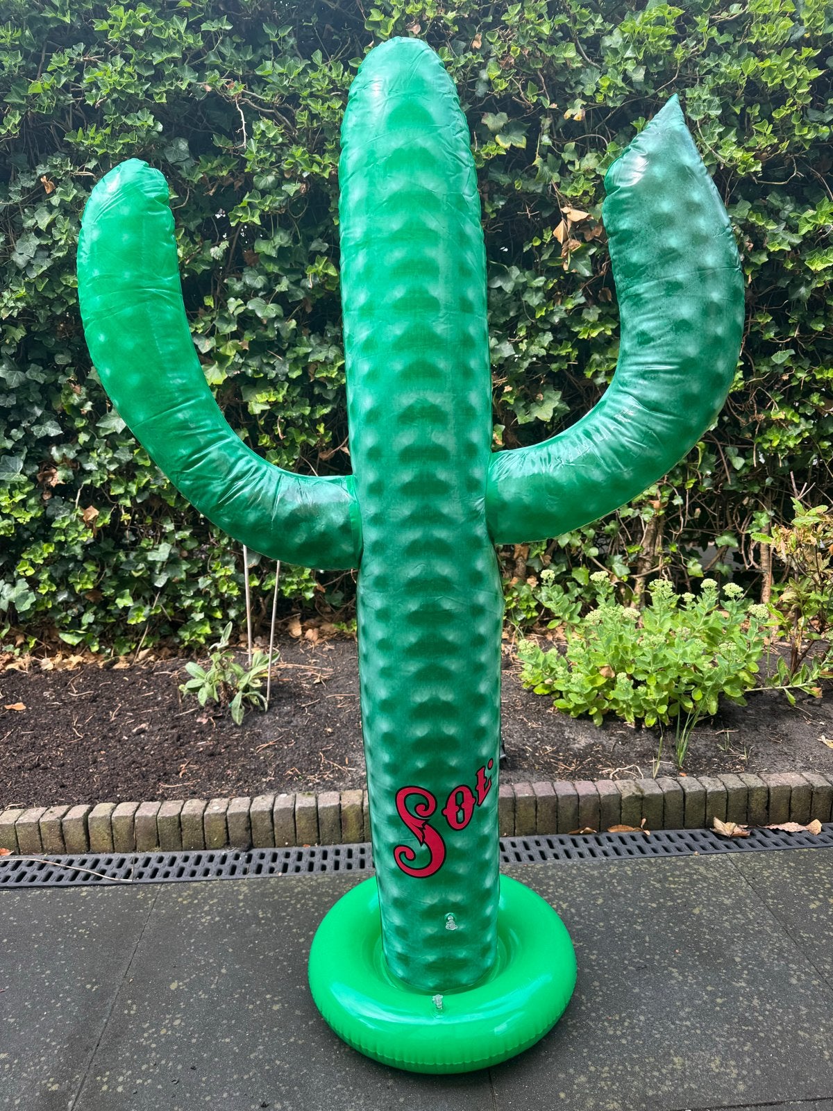Opblaasbare Cactus Sol Bier - Perfect voor Feestjes!, Ophalen of Verzenden, Nieuw, Overige typen, Overige merken