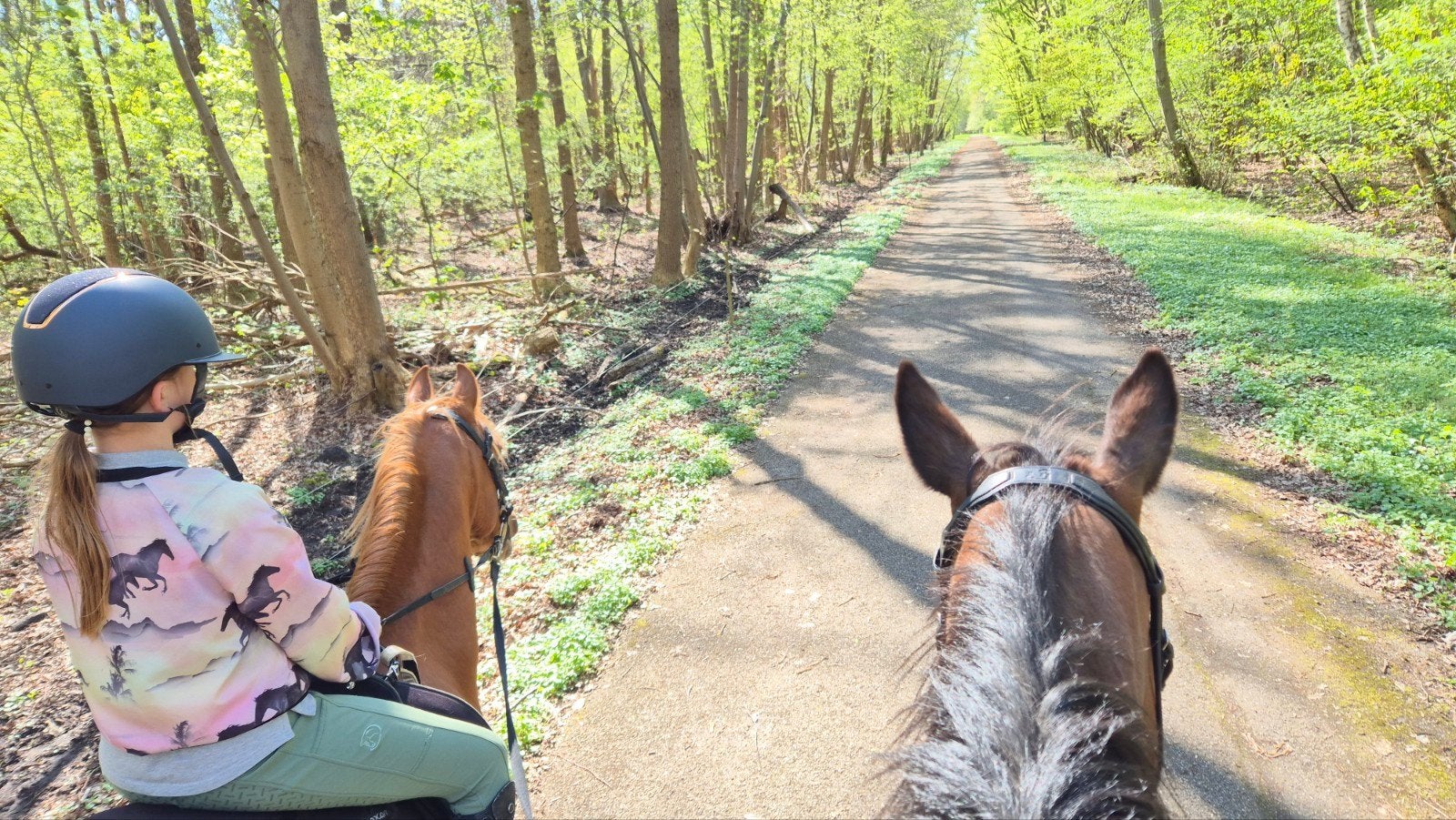 volpension stalling, Stalling, 4 paarden of pony's of meer