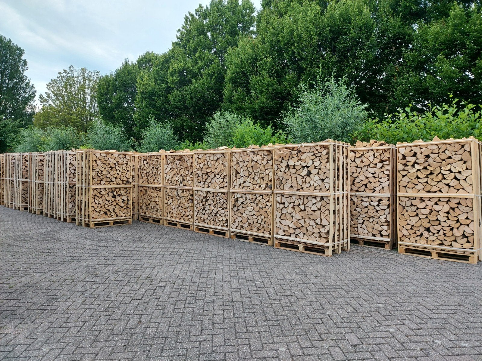 Essen haardhout 25cm ovengedroogd, 1e klasse., 6 m³ of meer, Ophalen, Essenhout, Blokken