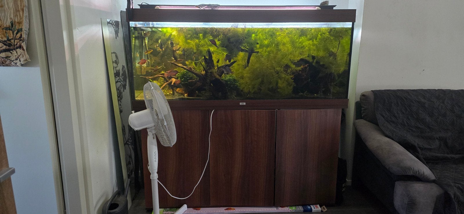 Juwel rio450, Dieren en Toebehoren, Ophalen, Gebruikt, Pomp, Gevuld zoetwateraquarium