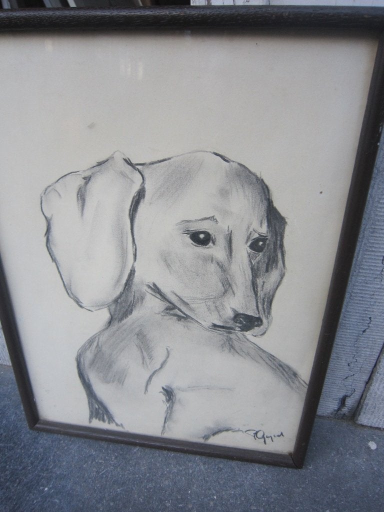 Mooie Conte' tekening van een Hond, gesigneerd, Ophalen, Tekening