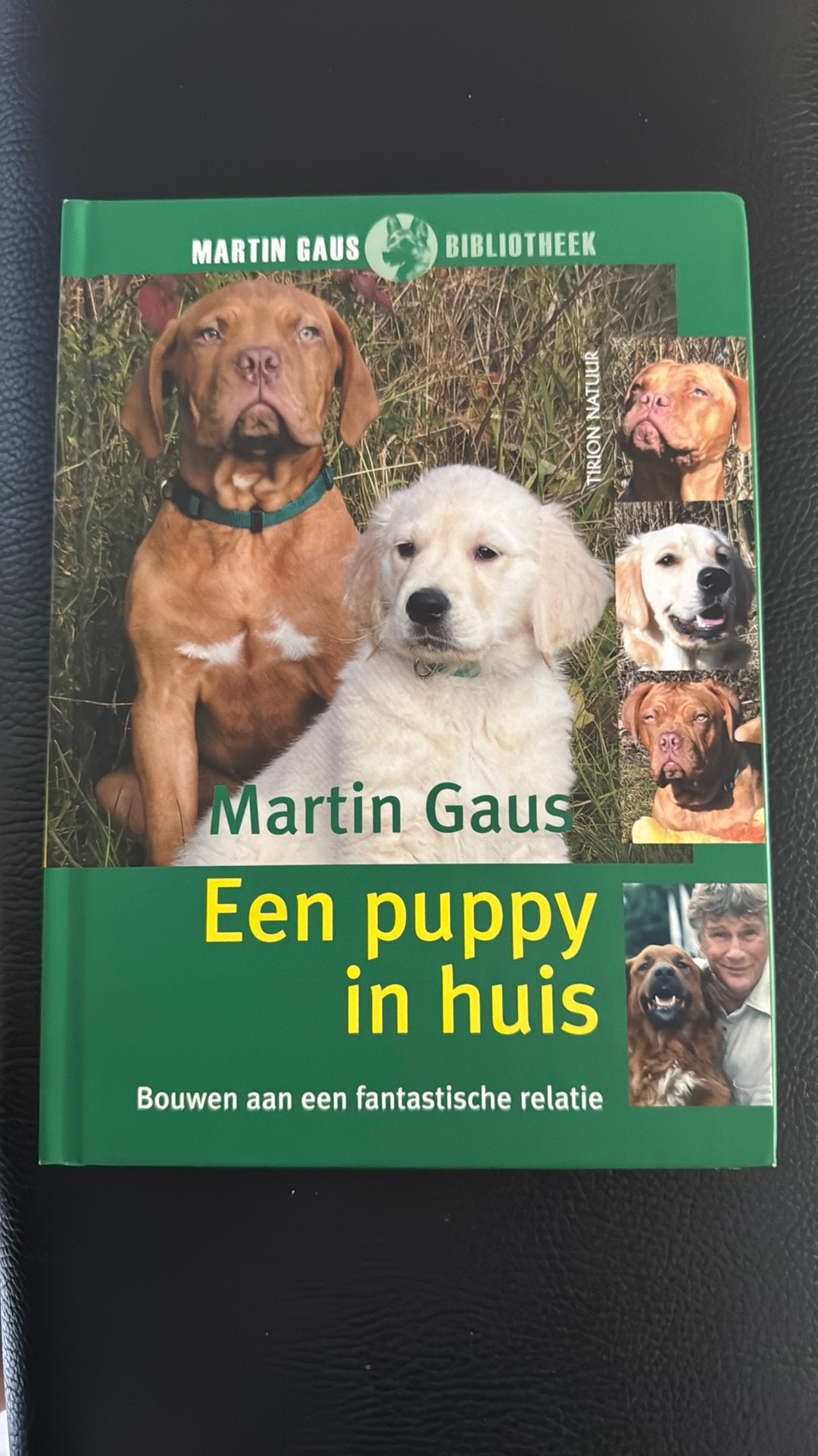 Martin Gaus - Een puppy in huis, Honden, Ophalen of Verzenden, Zo goed als nieuw, Martin Gaus