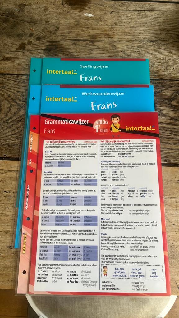 Intertaal Frans uitleg grammatica, Ophalen of Verzenden, Zo goed als nieuw