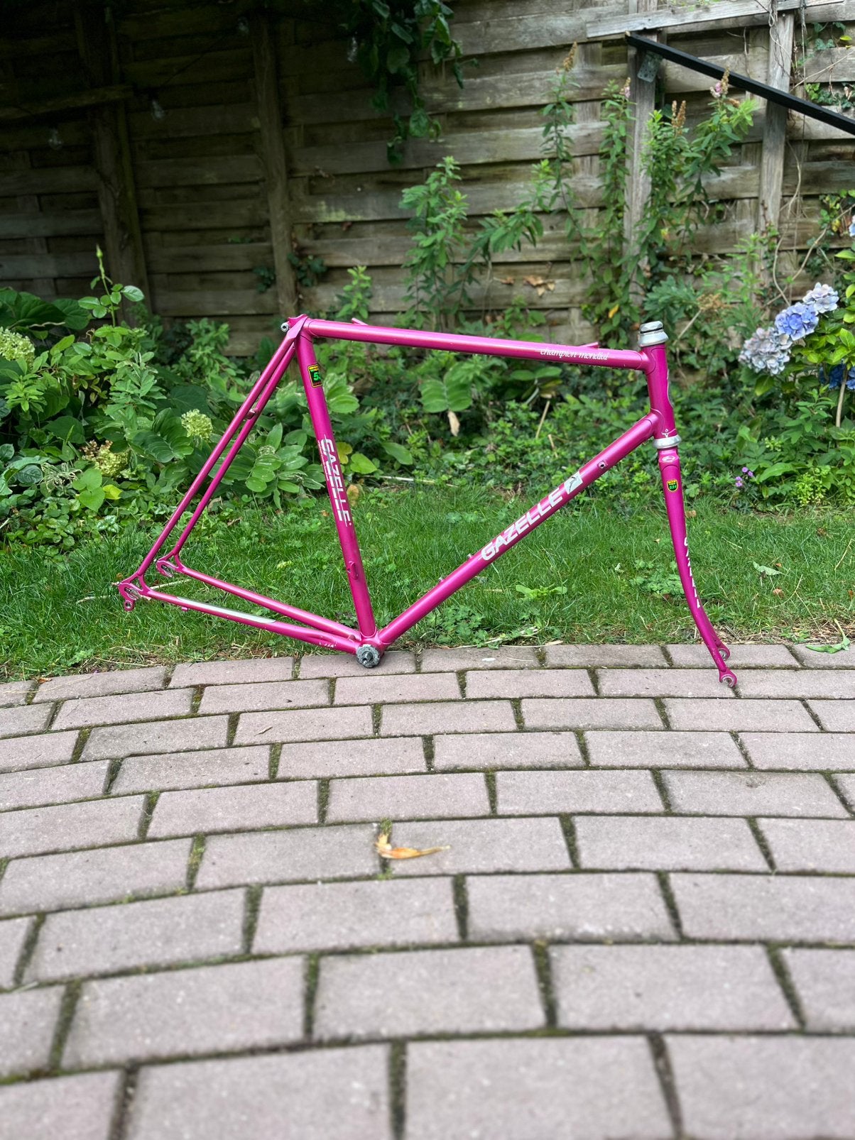 Gazlele champion mondial aa frame, Ophalen of Verzenden, Zo goed als nieuw, Frame
