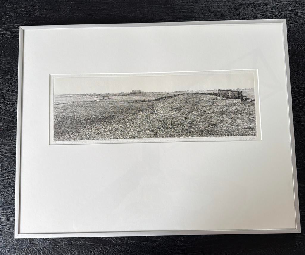 Ingelijste ets van een landschap Han van Hagen, Antiek en Kunst, Ingelijst, Ophalen of Verzenden, Landschap, 1950 - 1999