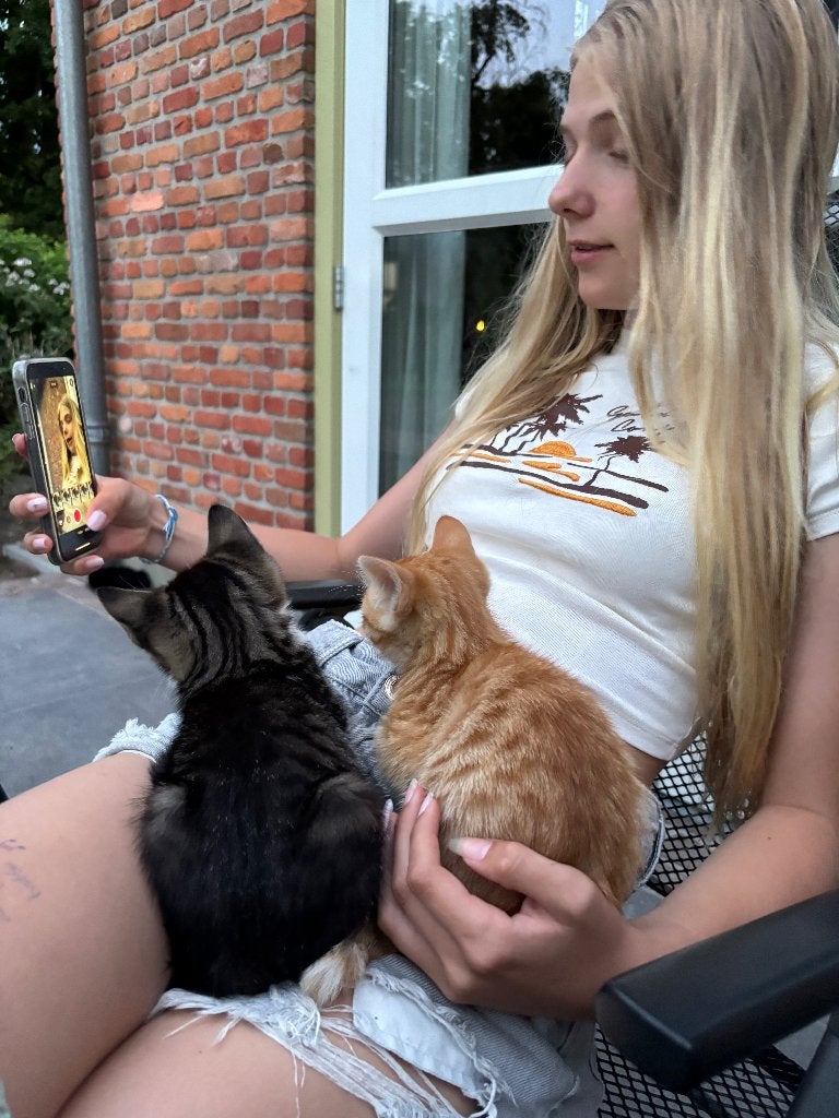 Lieve tamme kittens 1/8 Noorse boskat 28 april geboren, Meerdere dieren, 0 tot 2 jaar
