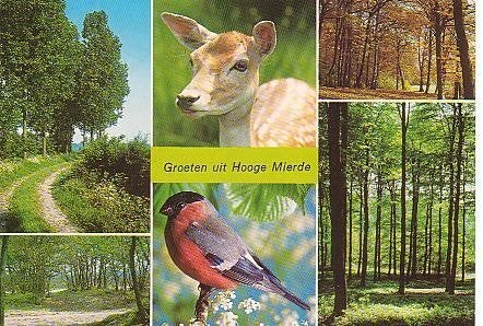 Ansichtkaart 	Hooge Mierde	6-luik, Verzenden, 1980 tot heden, Gelopen, Noord-Brabant