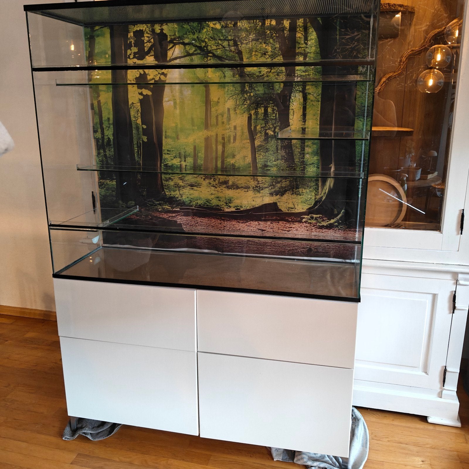 Terrarium te koop., Dieren en Toebehoren, Ophalen, 110 cm of meer, Hok, 90 cm of meer