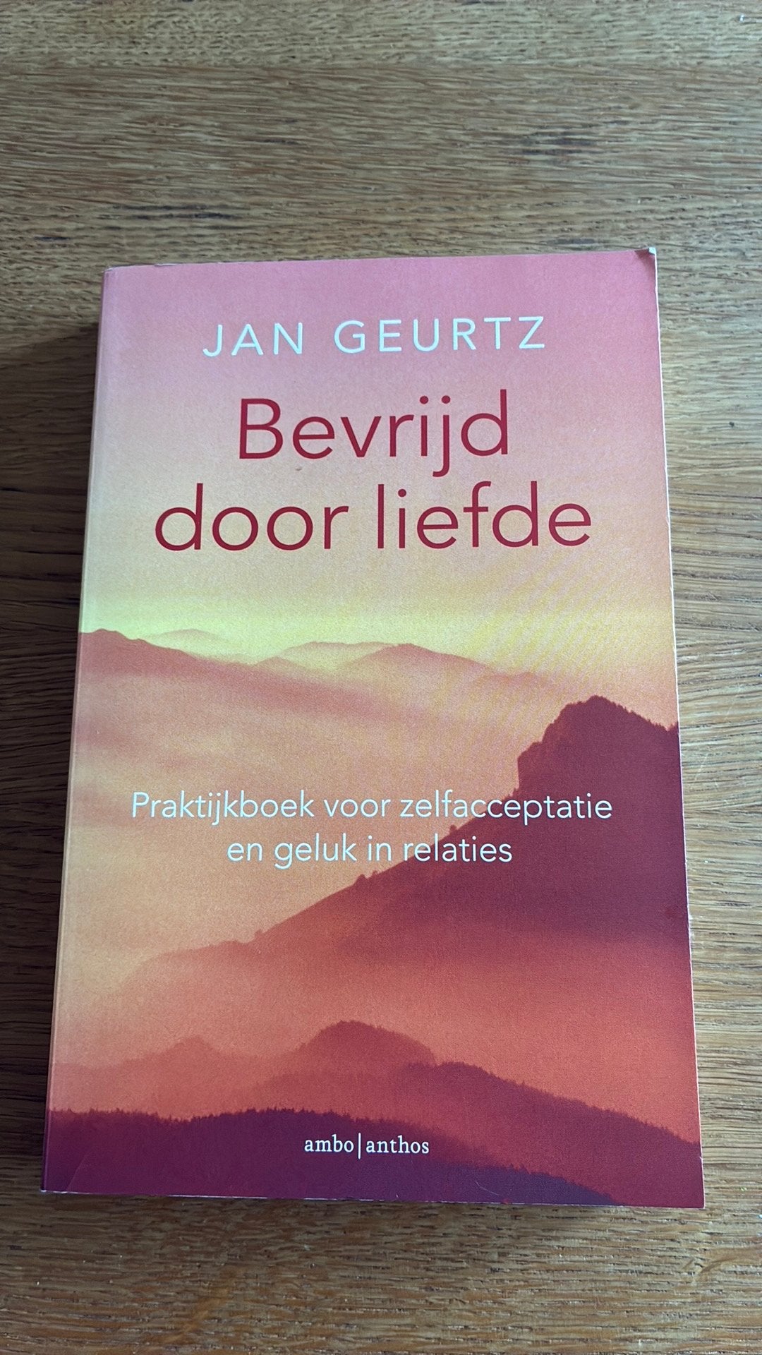 Jan Geurtz - Bevrijd door liefde, Boeken, Ophalen of Verzenden, Zo goed als nieuw, Jan Geurtz, Overige onderwerpen