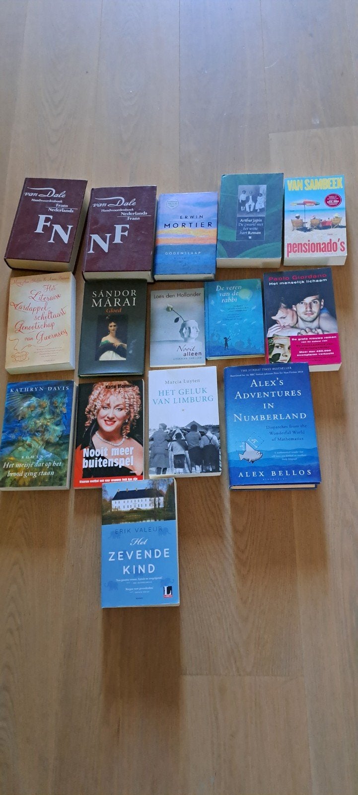Diverse boekenpakketten: romans, thrillers en meer, Ophalen, Gelezen, Diverse auteurs, Nederland