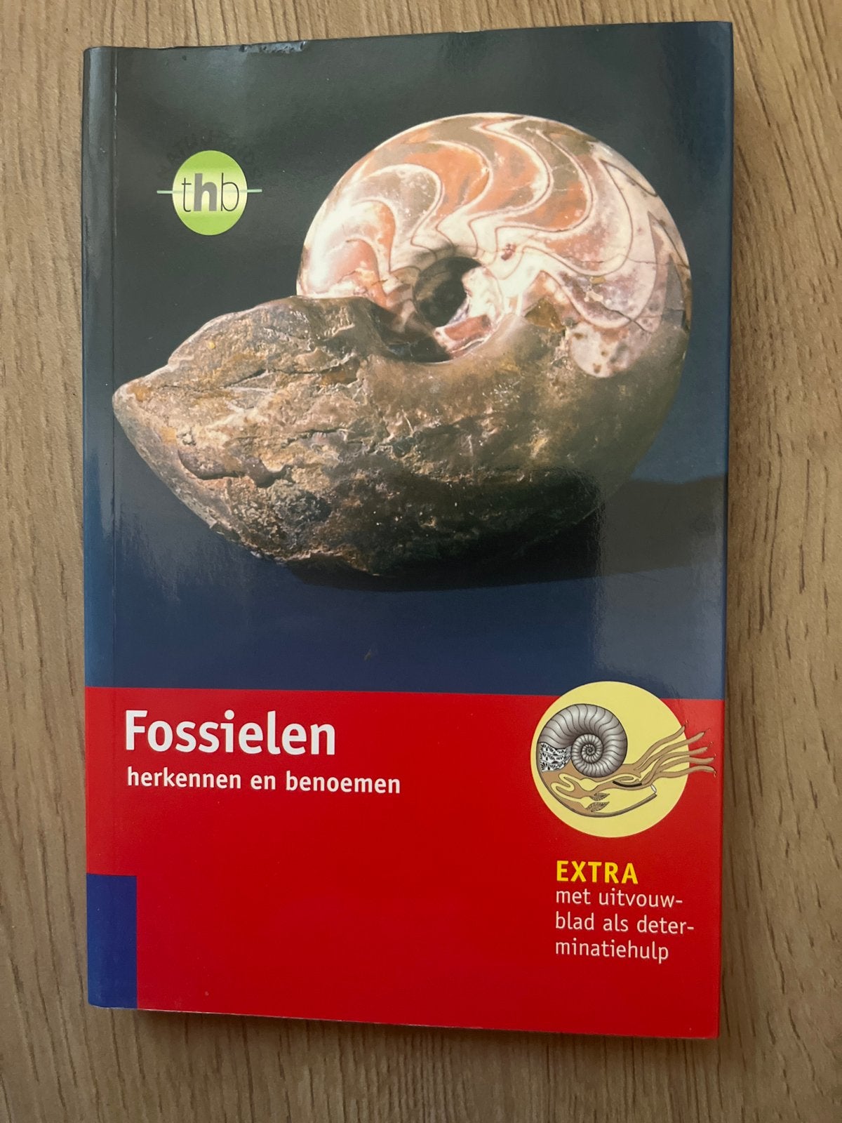 Fossielen herkennen en benoemen - THB Natuurgids, Verzamelen, Ophalen of Verzenden, Fossiel