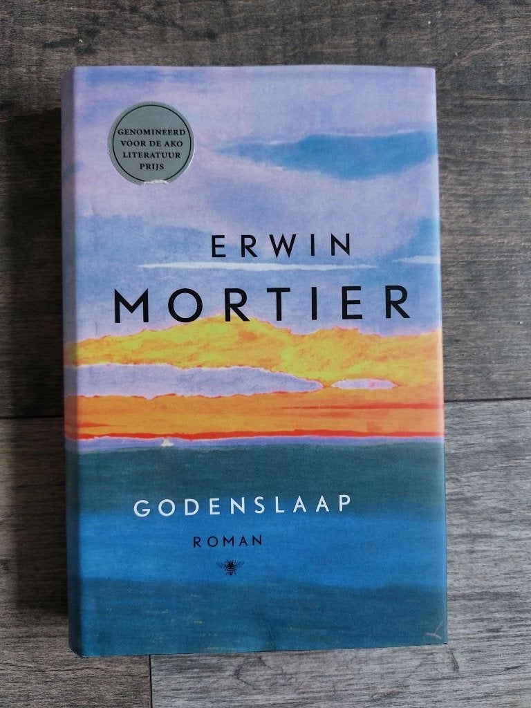 Erwin Mortier - Godenslaap, Ophalen of Verzenden, Zo goed als nieuw