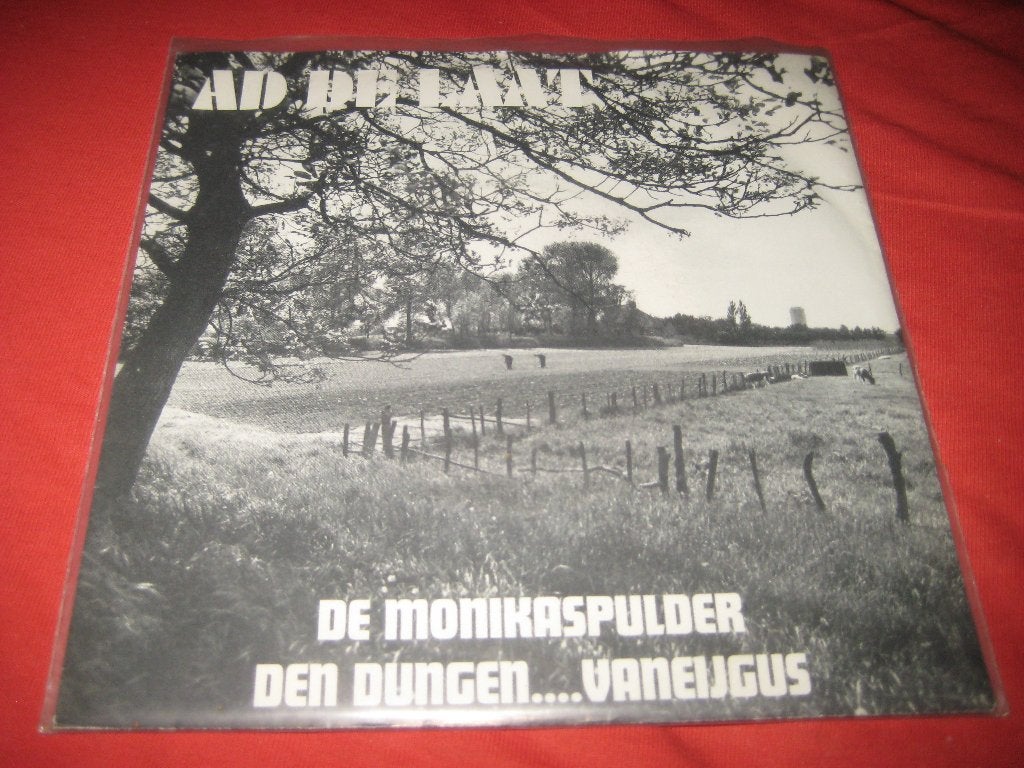 Ad de Laat: De Monikaspulder (NO78), Cd's en Dvd's, Ophalen of Verzenden, Zo goed als nieuw, Nederlandstalig