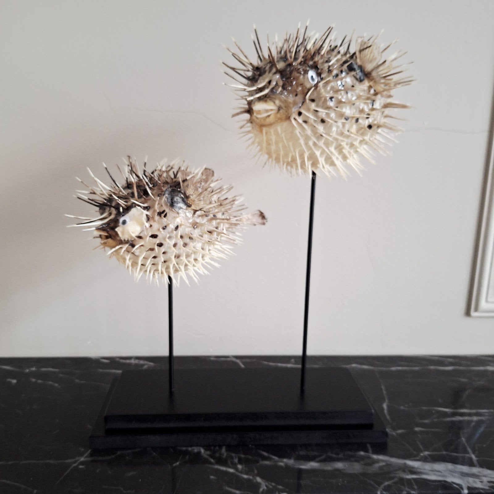 Super cute! Set puffervissen samen op voet vakkenkast chique, Nieuw, Ophalen of Verzenden, X, X