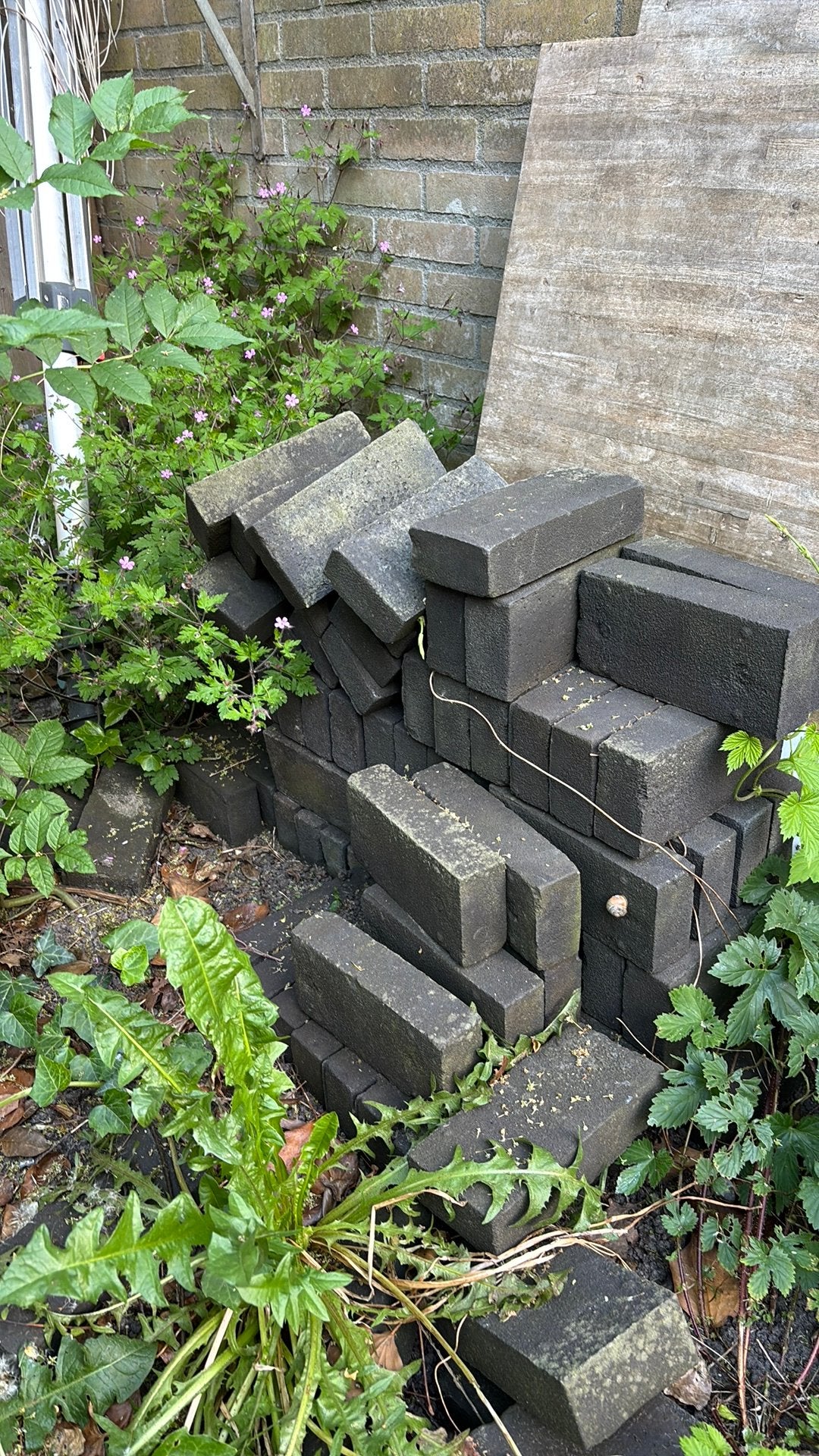 Stenen gratis afhalen, Tuin en Terras, Tegels en Klinkers, Ophalen, Zo goed als nieuw, Beton, Klinkers